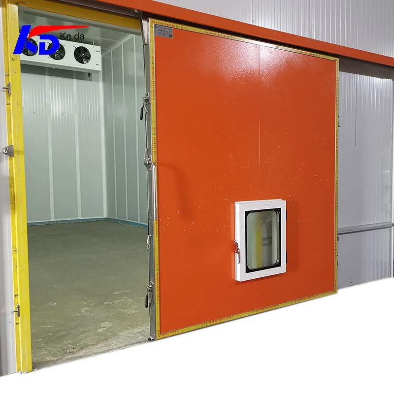 Controlled Atmosphere Door