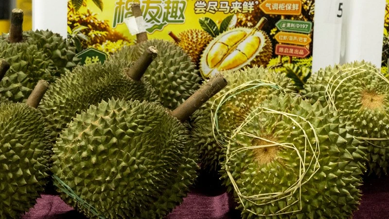 Controlled-Atmosphere Storage Post-Harvest Ripening of Fruits and Vegetables Controlled-Atmosphere Storage Post-Harvest Ripening of Fruits and Vegetables