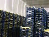 Akizuki Pears Stored in CA Cold Storage For 200–300 Days Long-term Preservation