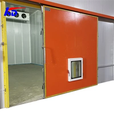 Controlled Atmosphere Door